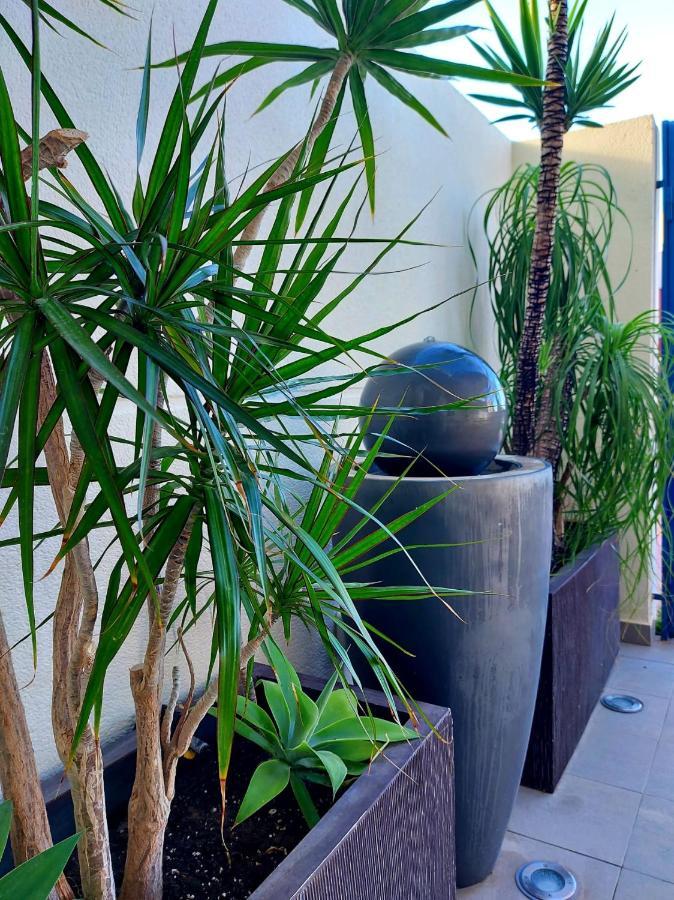 Duplex With Sea Views, Garden And Terrace Apartment Santa Cruz de Tenerife Exterior photo